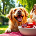 Is red meat good for dogs?