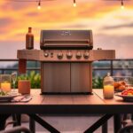 Search results for napoleon grill accessories